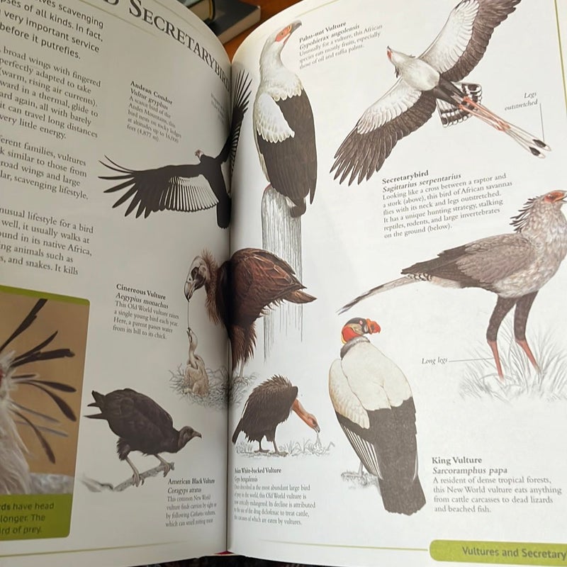 The Encyclopedia of Animals