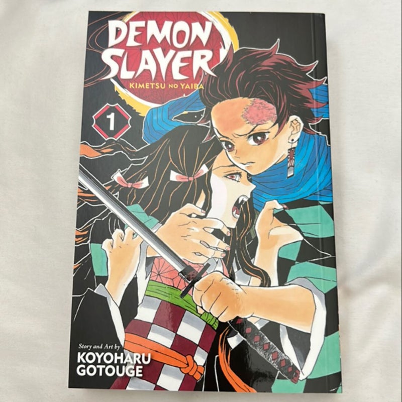 Demon Slayer: Kimetsu No Yaiba, Vol. 1