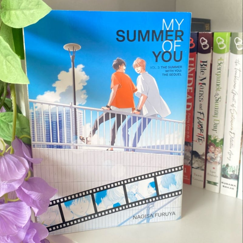 The Summer with You: the Sequel (My Summer of You Vol. 3)