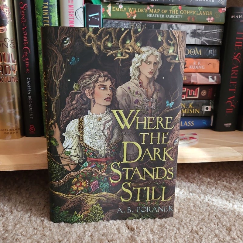 Where the Dark Stands Still