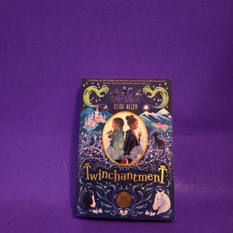 Twinchantment-Twinchantment Series #1