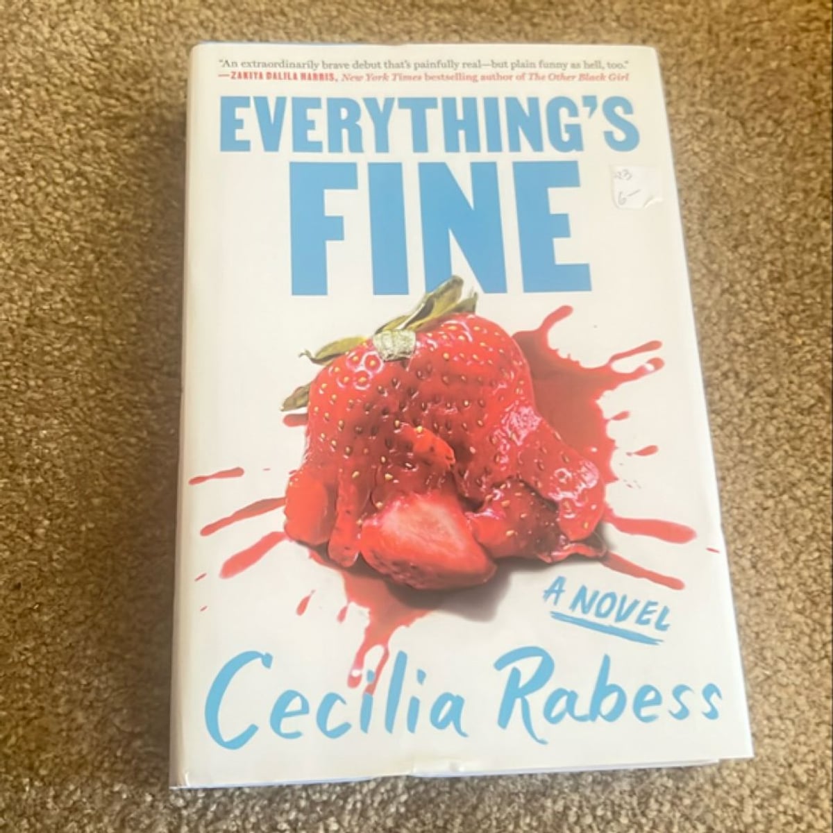 Everything's Fine by Cecilia Rabess