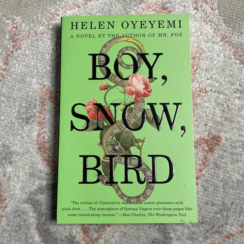 Boy, Snow, Bird