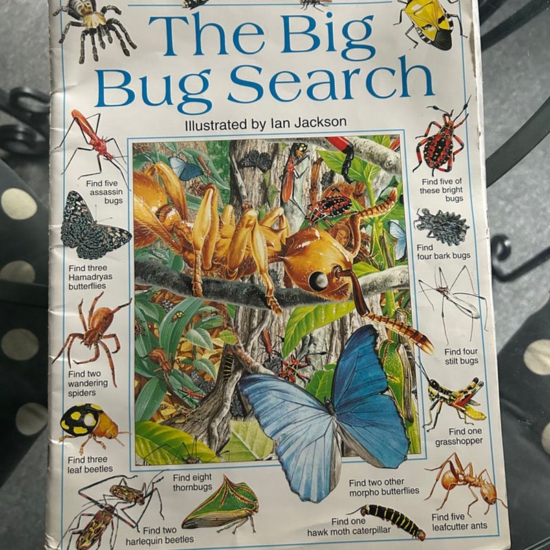The big bug search 