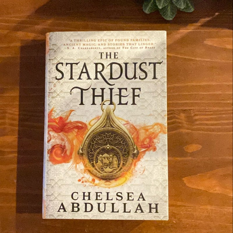 The Stardust Thief