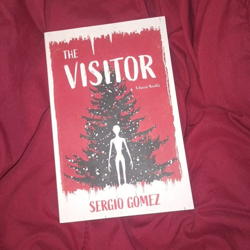 The Visitor