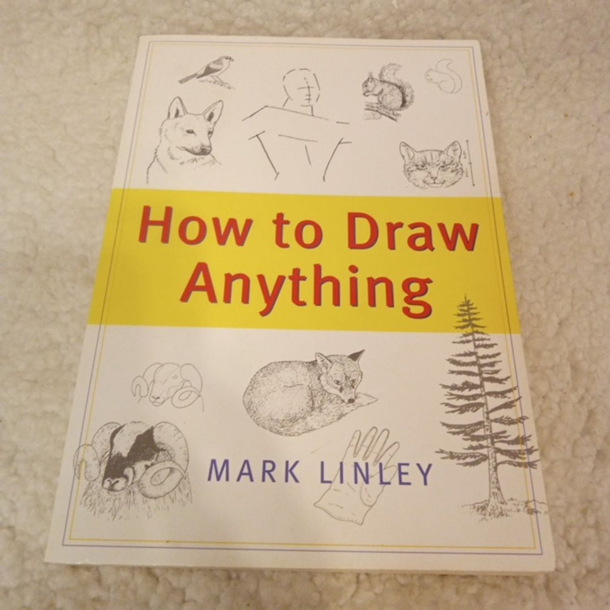 How to Draw Anything by Linley