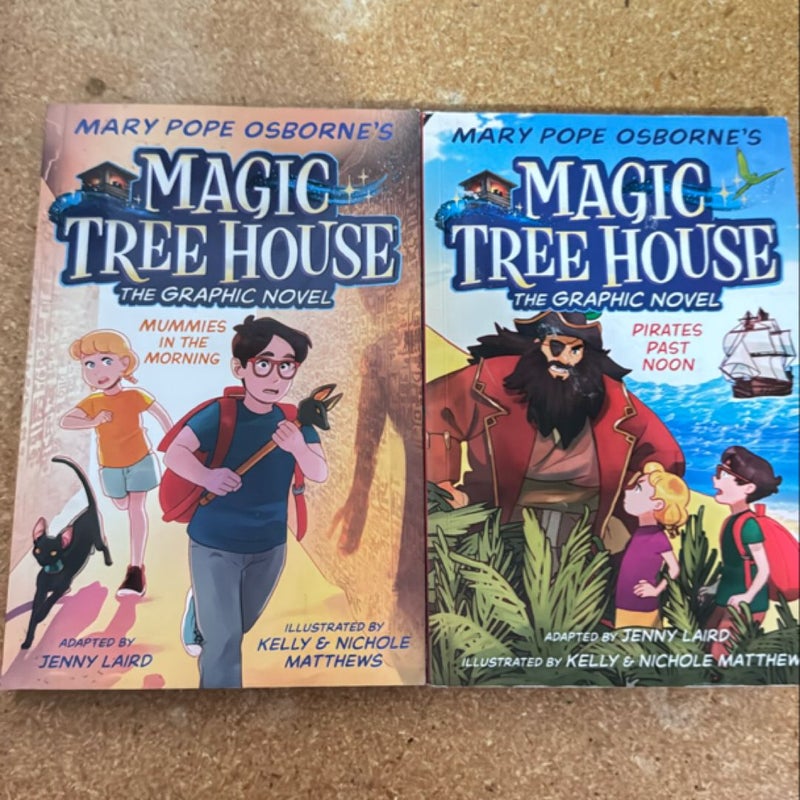 Magic treehouse graphic novels