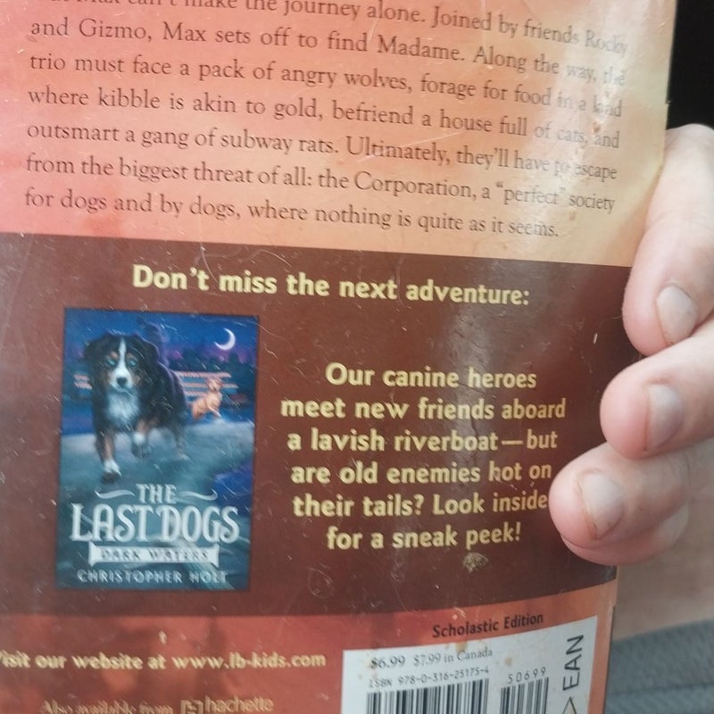 The lost dogs,The vanishing