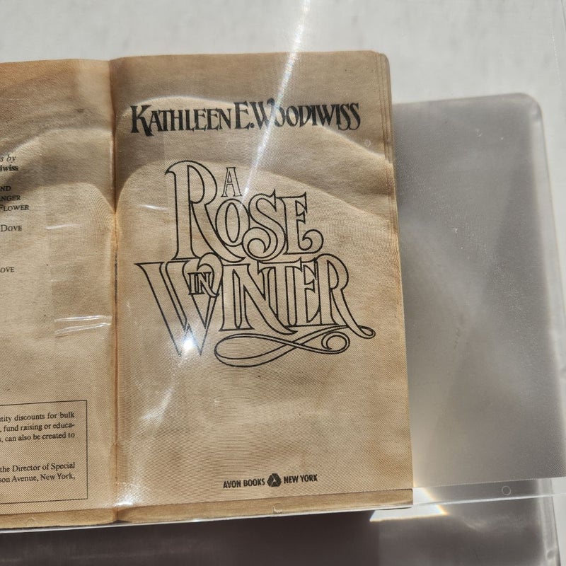 A Rose in Winter