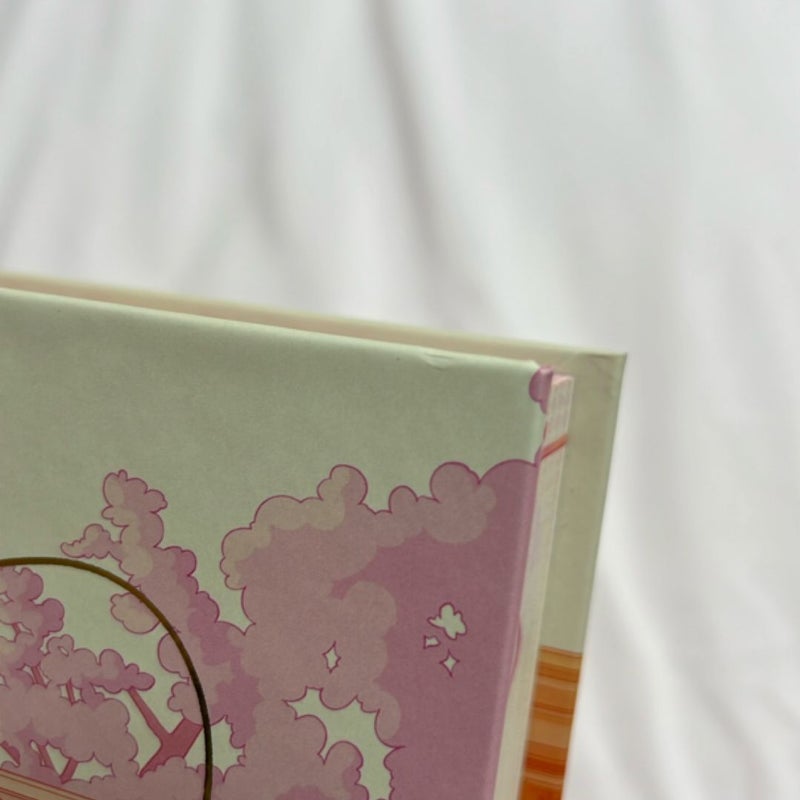 First-Time Caller — Afterlight, Hand Signed, Damaged