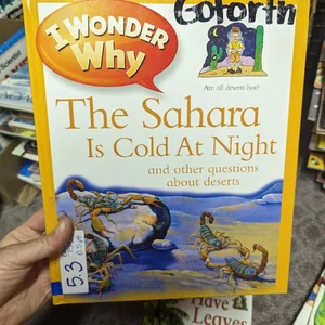 Sahara Is Cold at Night?