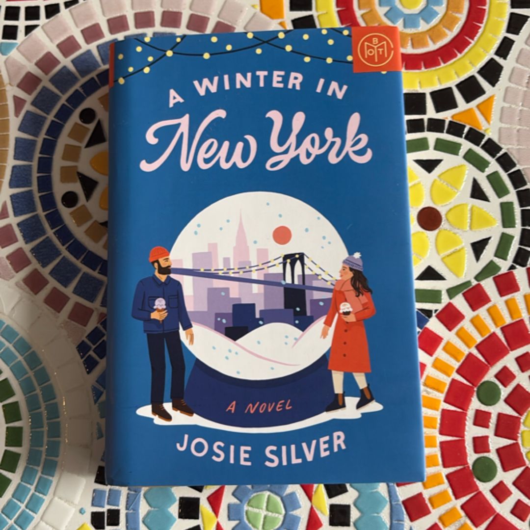 A Winter in New York