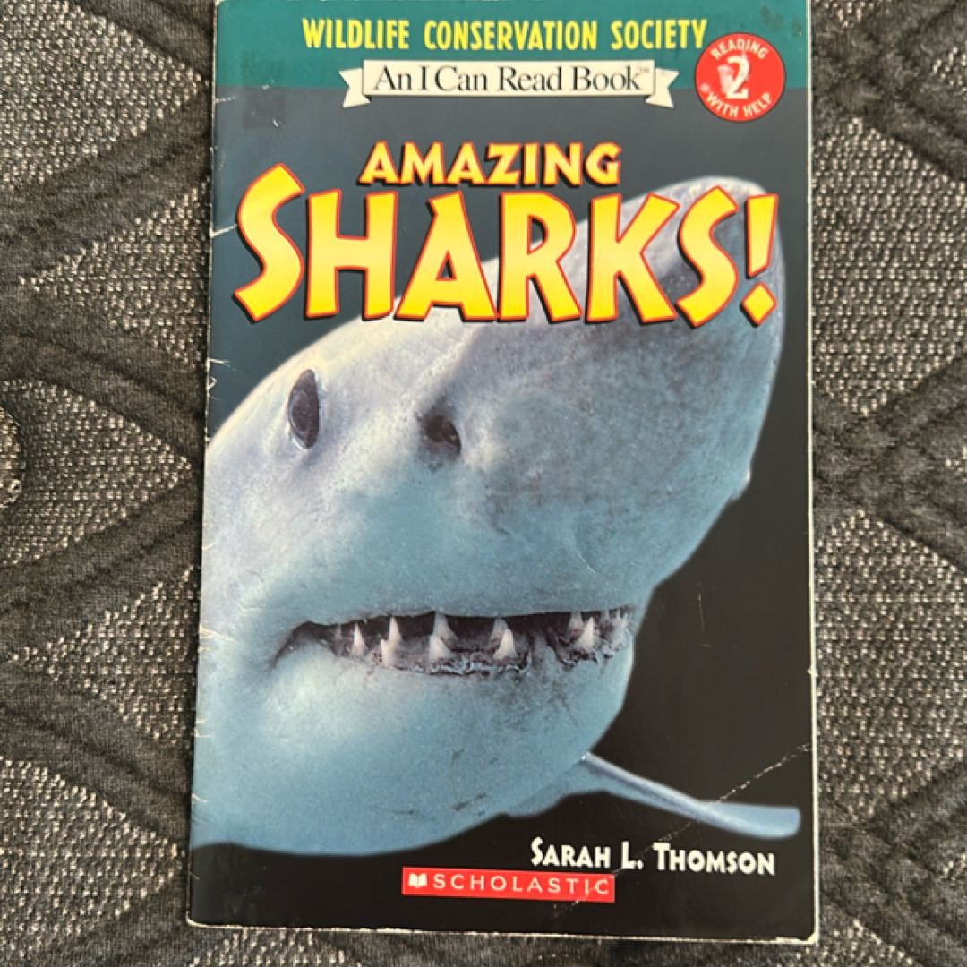 Amazing Sharks