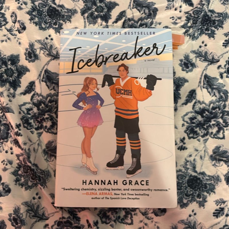 Icebreaker