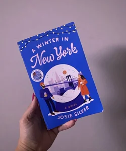 A winter in New York  