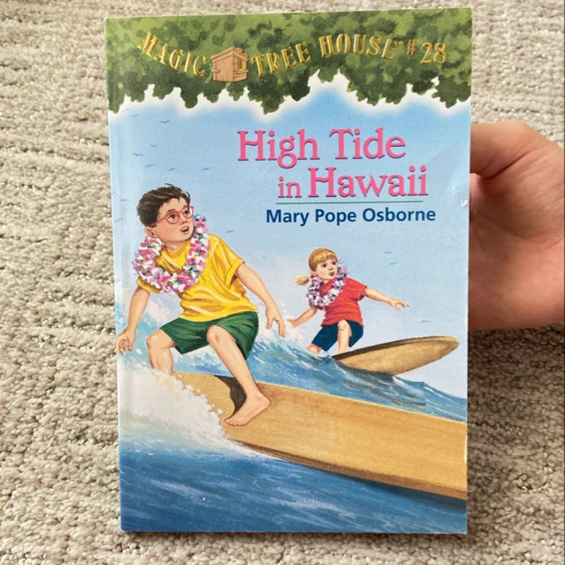 High Tide in Hawaii