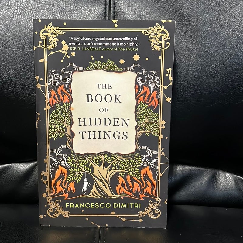 The Book of Hidden Things