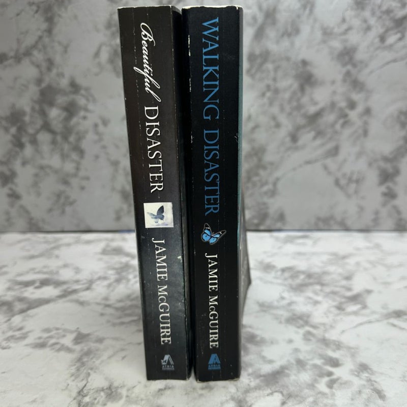 Beautiful Disaster bundle 2 books