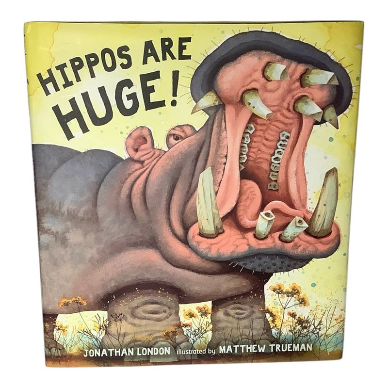 Hippos Are Huge!