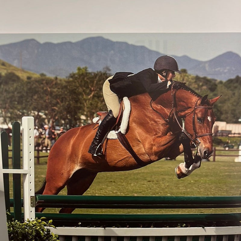 Judging Hunters and Equitation