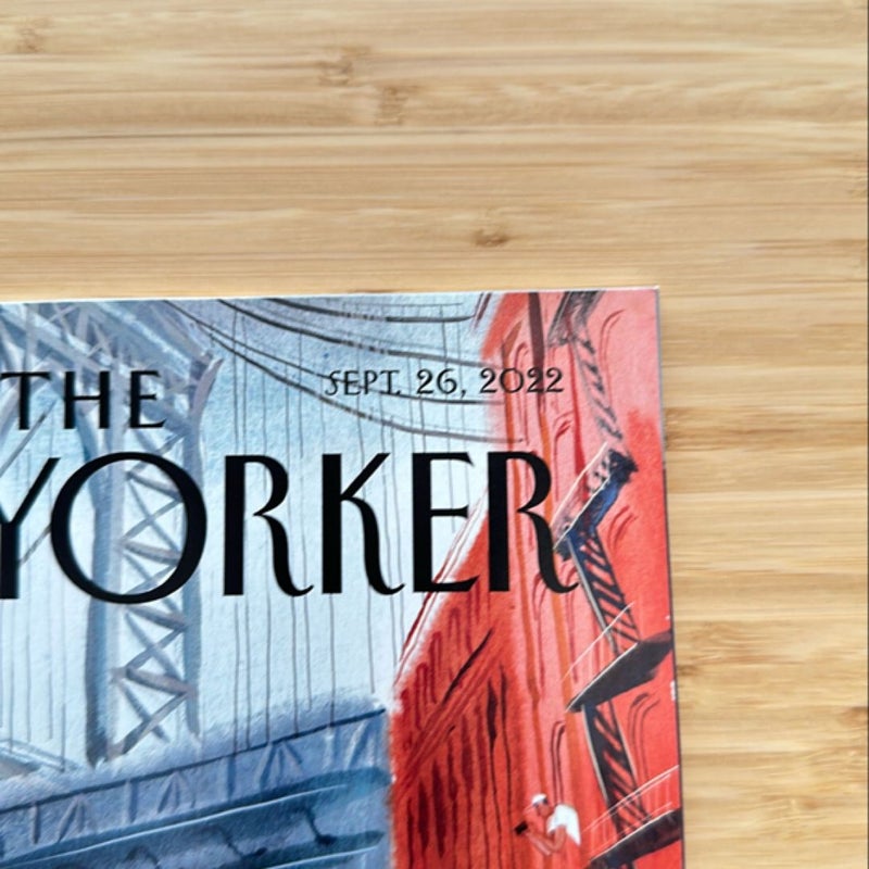 The New Yorker (bundle 12)