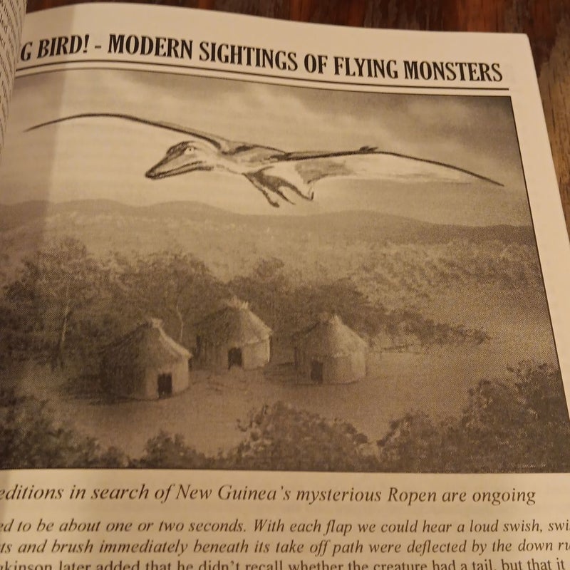 Big Bird Modern Sightings of Flying Mon