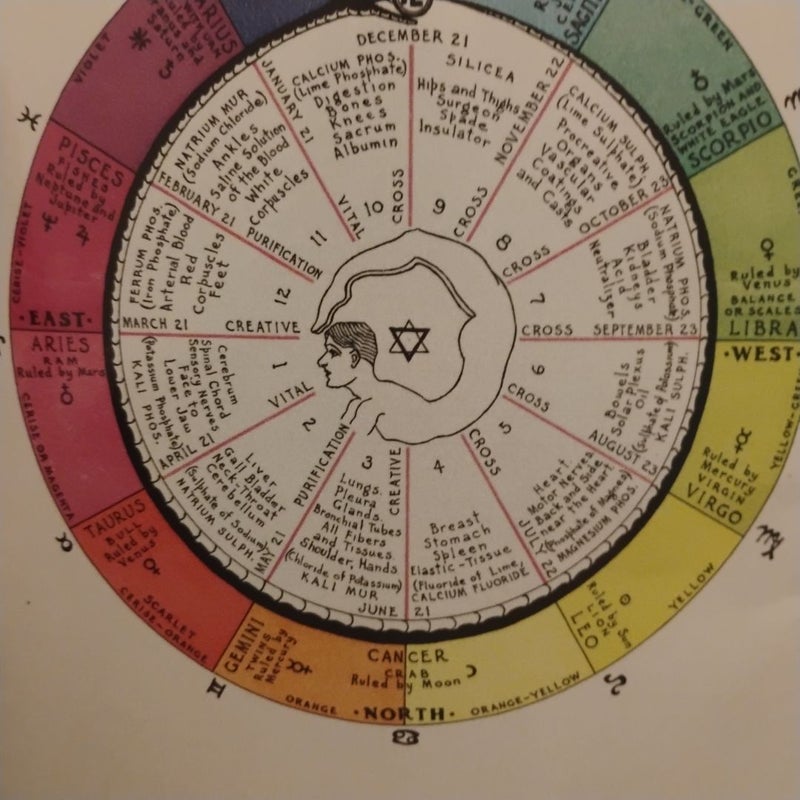 Relation of the Mineral Salts of the Body to the Signs of the Zodiac