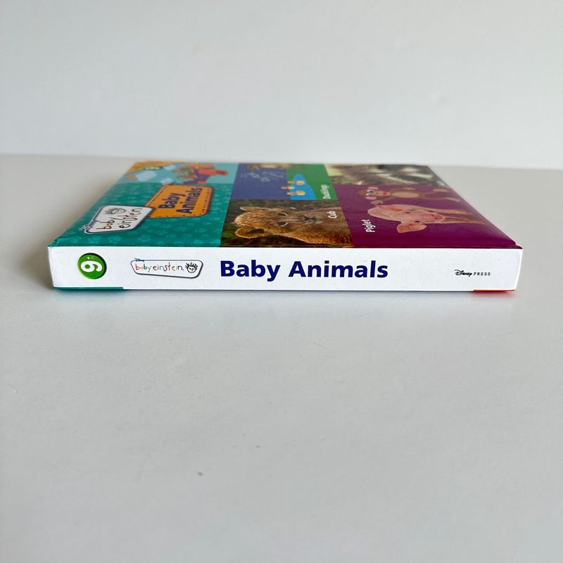Baby Einstein: Baby Animals