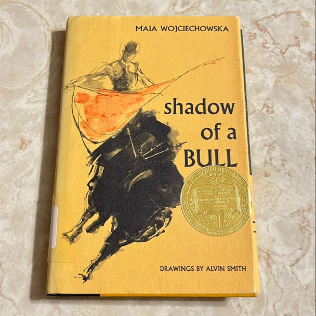 Shadow of a Bull