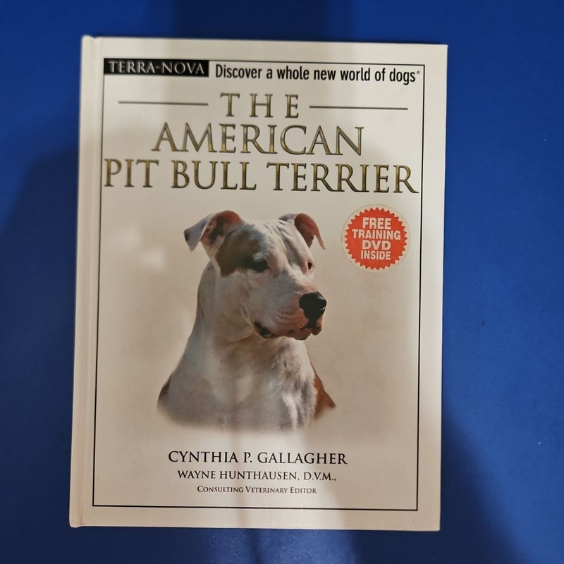 The American Pit Bull Terrier