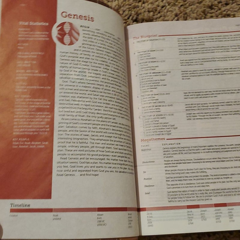 NIV Life Application Study Bible Red Letter Edition [Brown]