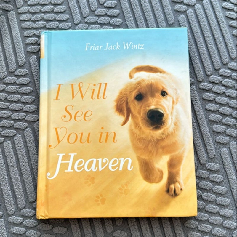 I Will See You in Heaven