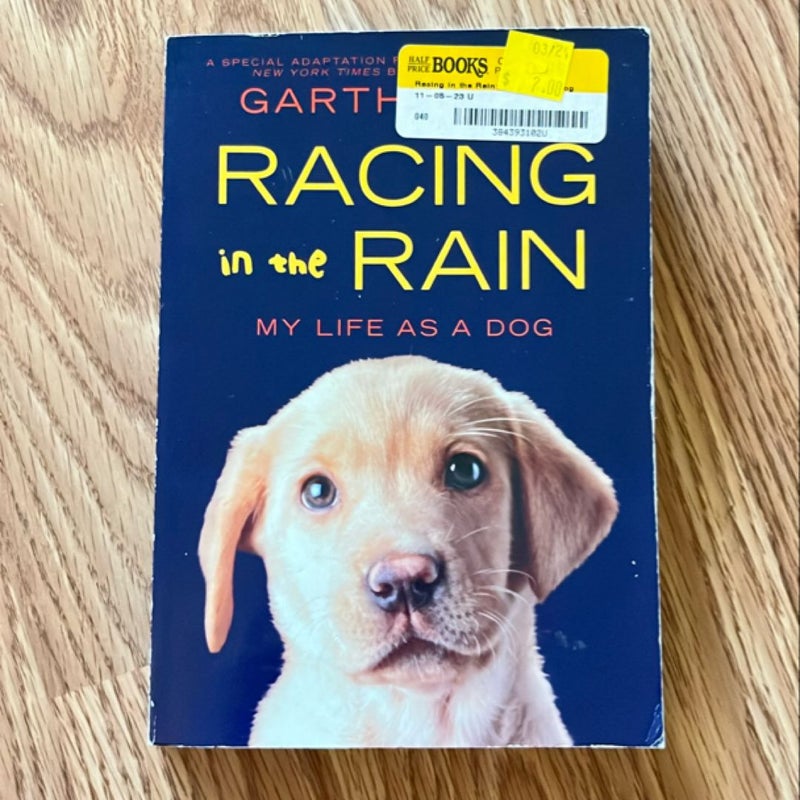 Racing in the Rain