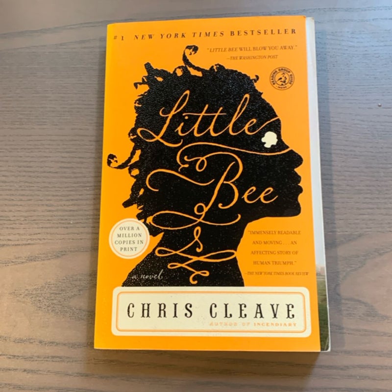 Little Bee