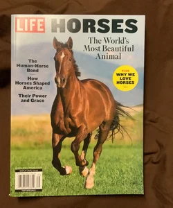 LIFE - HORSES