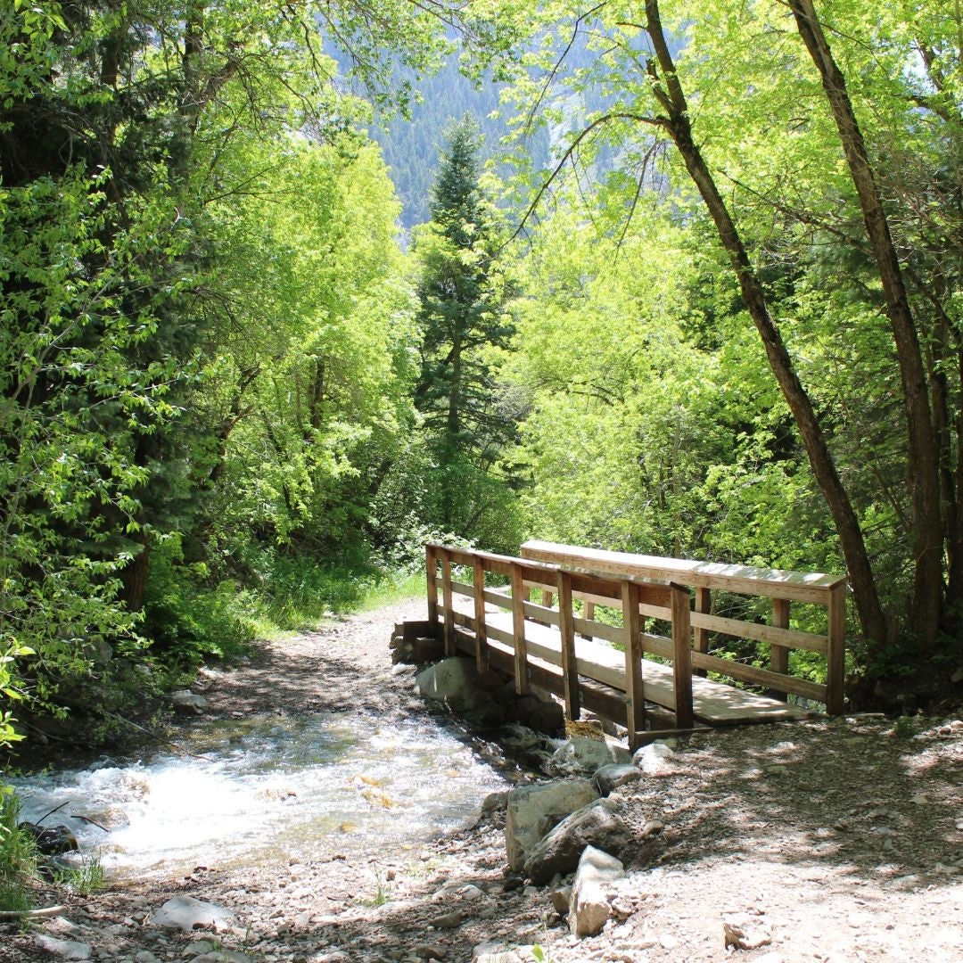 Wasatch Reads