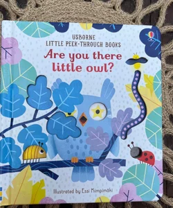 Are You There Little Owl?