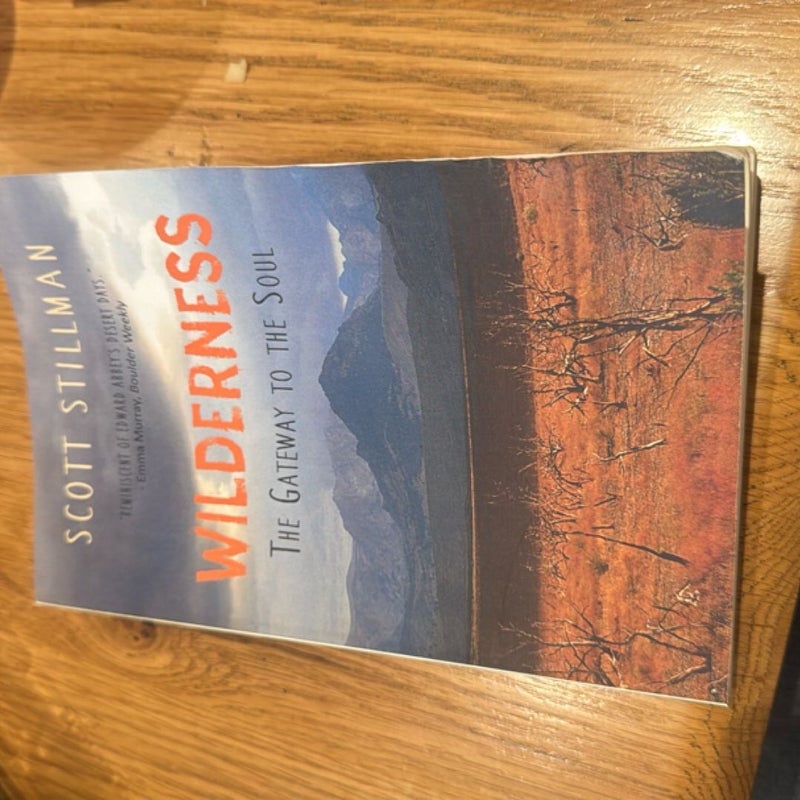 Wilderness, the Gateway to the Soul