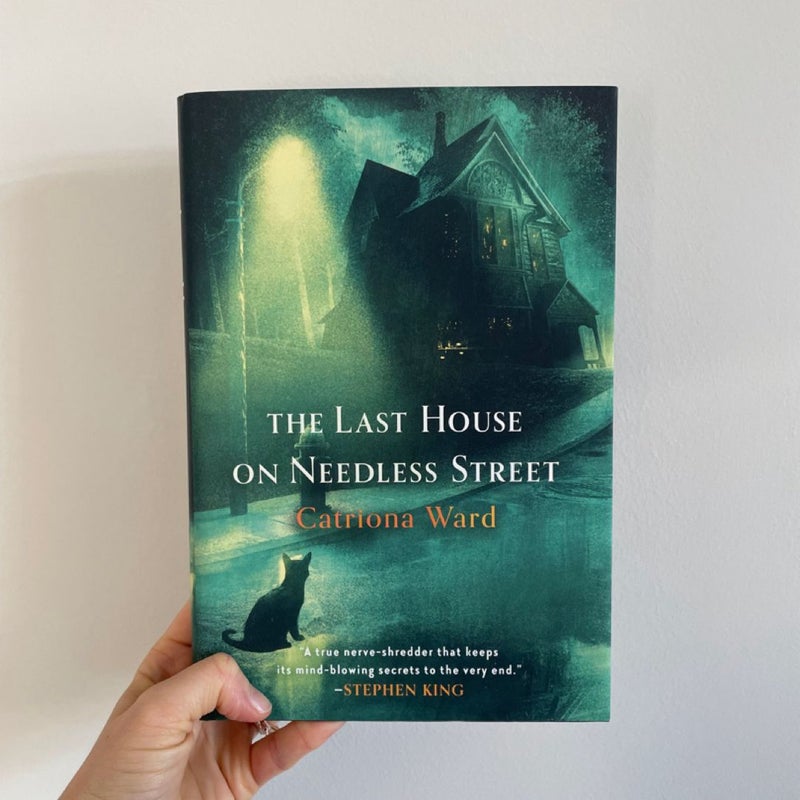 The Last House on Needless Street