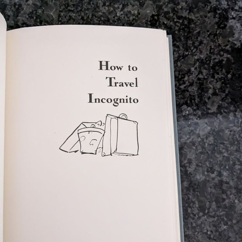 How to Travel Incognito