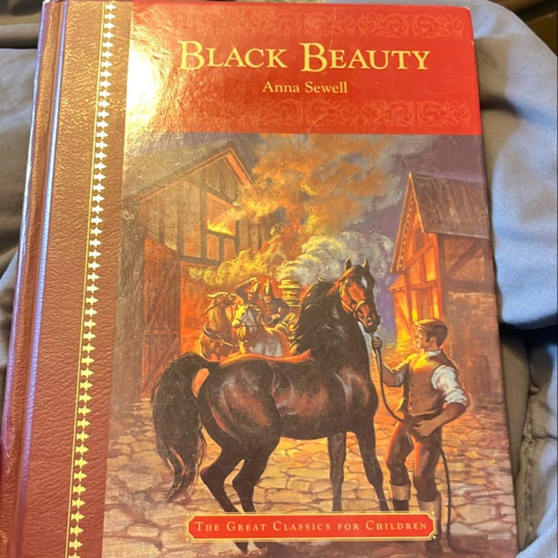Black beauty 