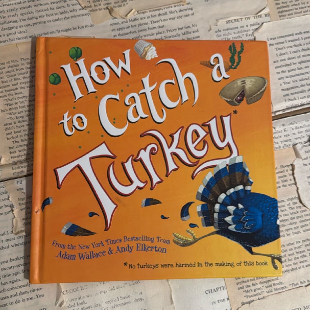 How to Catch a Turkey