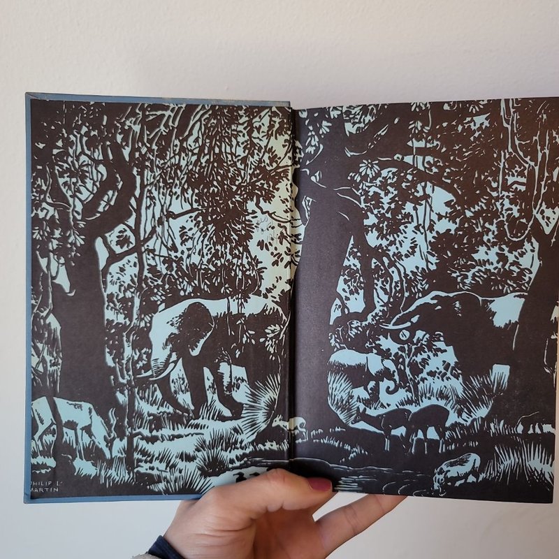 The Blue and The Jungle