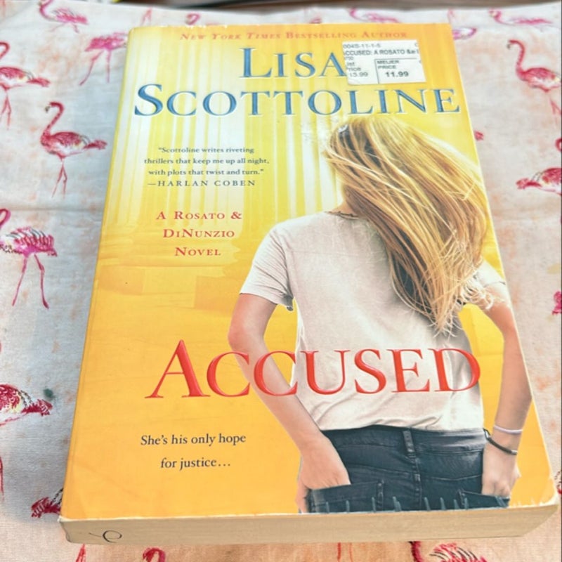 Accused: a Rosato and Dinunzio Novel