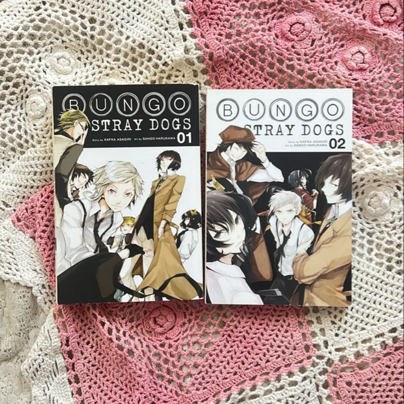 Bungo Stray Dogs, Vol. 1 & 2