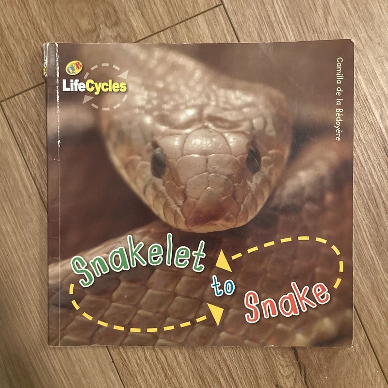 Life Cycles (4) Paperback Nonfiction Book Bundle for Kids