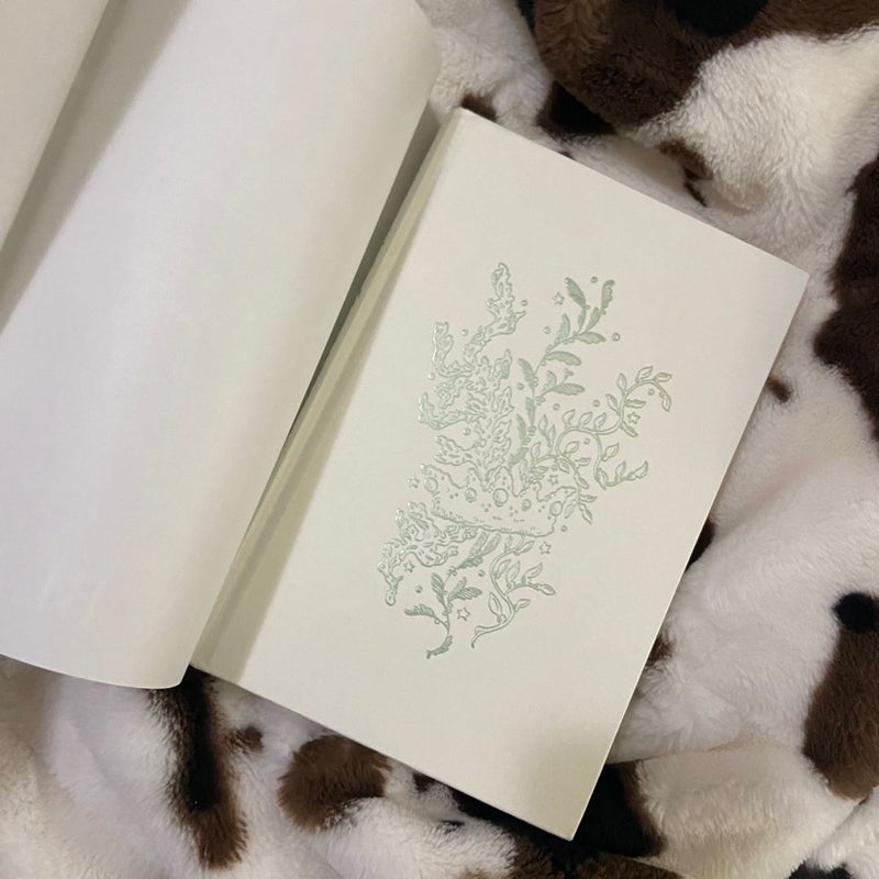 the cruel prince series barnes and noble exclusive editions