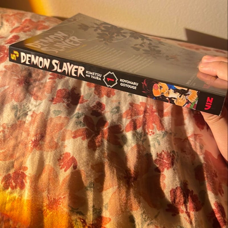 Demon Slayer: Kimetsu No Yaiba, Vol. 1