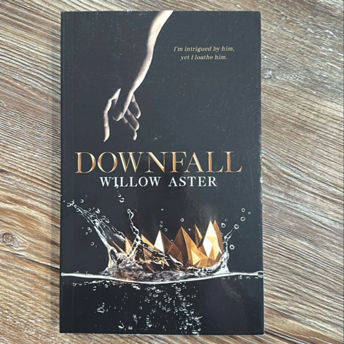 Downfall by Wander Aguiar, Willow Aster